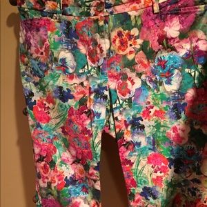 Talbots floral capris pant, 14W